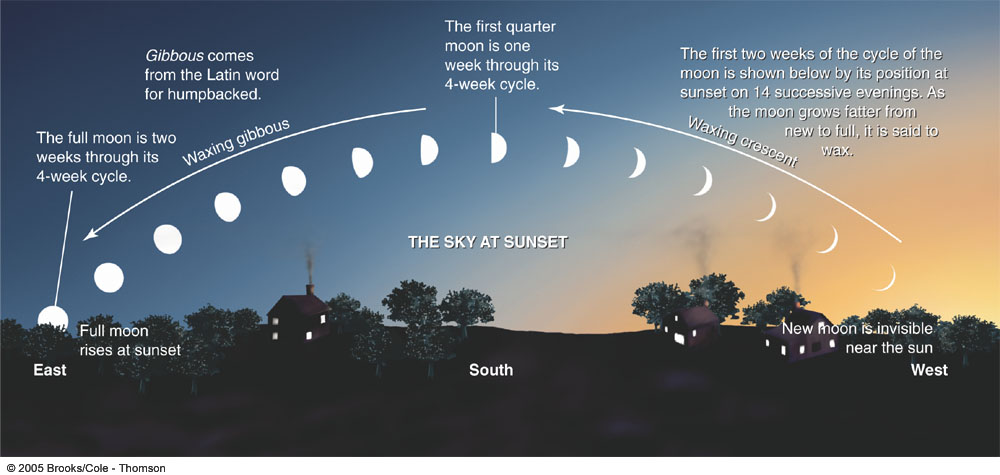 Lunar Phases at Sunset.jpg