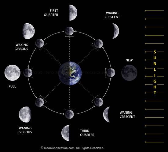 moons phases