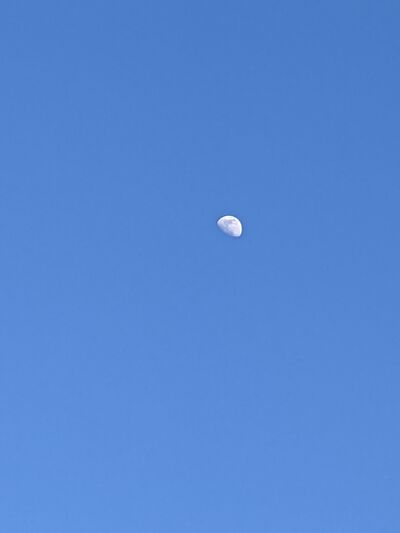 CA-Bay-Area-02-21-21 Moon Closeup.jpg