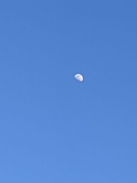 CA-Bay-Area-02-21-21 Moon Closeup.jpg